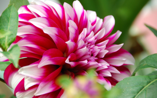699618 (a): :2560x1600